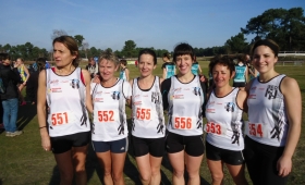 Cross-departemental-Verrie-2014-SCO-athle-angers-88-.jpg